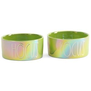 . Rae Dunn Hocus Pocus Lime Luster Colorful Dog Bowls